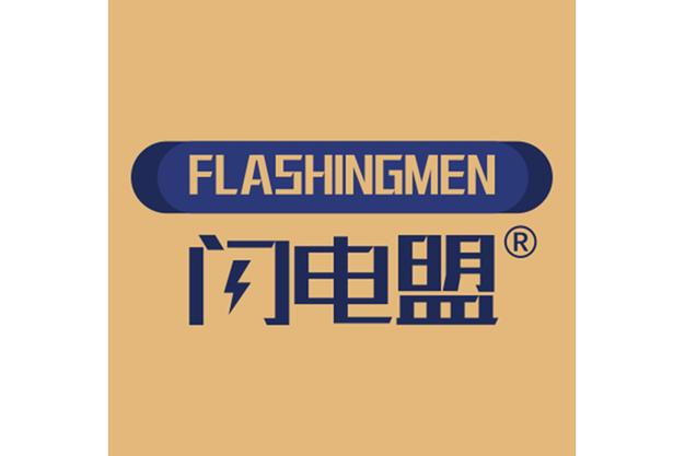 多元化电子业务经营范围解析 从销售到制造的全链条布局
